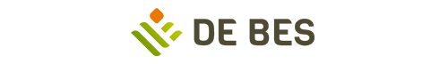 debes